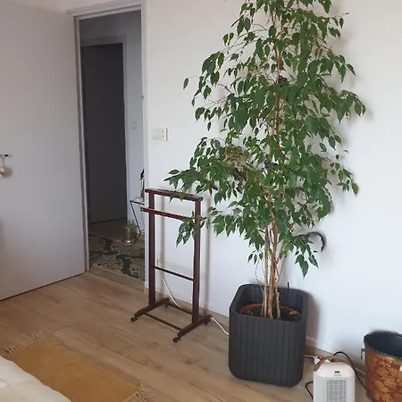게스트하우스 Room In Apartment *
