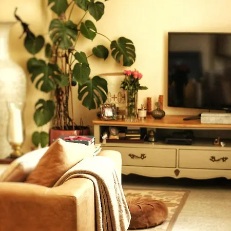 게스트하우스 Room In Apartment