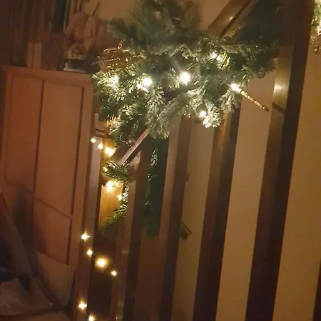 게스트하우스 Room In Apartment *