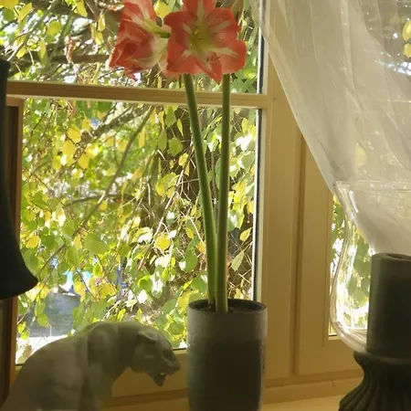 게스트하우스 Room In Apartment Juvancourt
