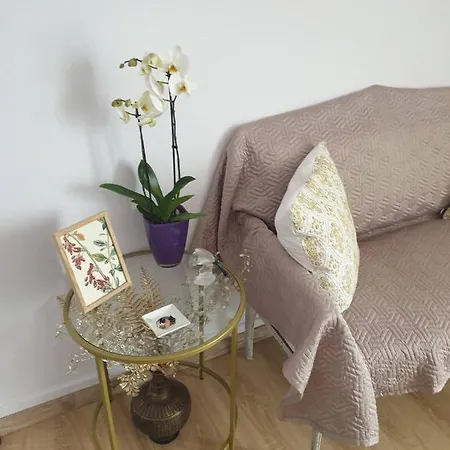 게스트하우스 Room In Apartment *